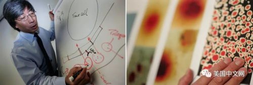 (美國中文網(wǎng)微信公眾號)