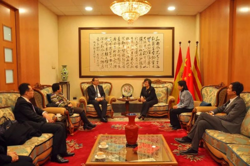 總領(lǐng)事林楠在總領(lǐng)館會見副主任郭軍一行