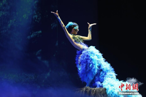 當(dāng)?shù)貢r間2月25日晚，2018年“文化中國·四海同春”藝術(shù)團(tuán)在美國南部城市休斯敦舉行慰僑綜藝晚會。圖為休斯敦華星藝術(shù)團(tuán)13歲演員表演舞蹈《孔雀》。休斯敦是2018年“文化中國·四海同春”藝術(shù)團(tuán)赴美演出的首站，獲得休斯敦華人華僑的熱情回應(yīng)。其后，該藝術(shù)團(tuán)還將奔赴美國奧蘭多、舊金山、芝加哥演出。<a target='_blank' >中新社</a>記者 曾靜寧 攝