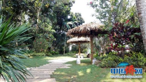 南強村優(yōu)美的自然風光。　張茜翼 攝