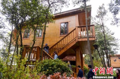 造型別致、與自然和諧相融的木屋酒店?！钊A峰 攝