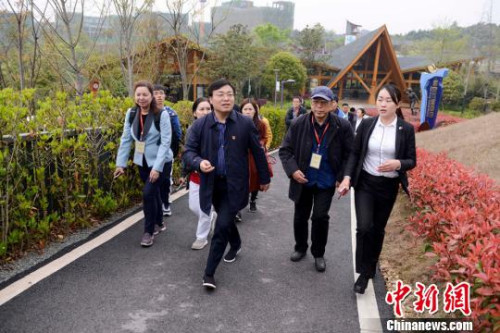 海外華媒走進(jìn)長沙潯龍河村追尋當(dāng)代“山鄉(xiāng)巨變”故事?！钊A峰 攝