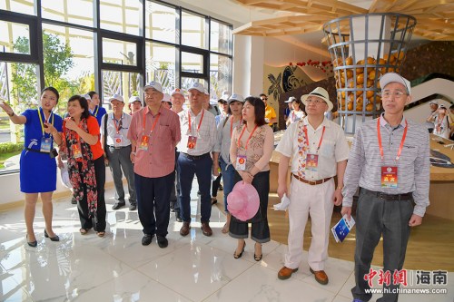 　4月2日，200多名在海南文昌參加2018年第七屆海南文昌南洋文化節(jié)的海內(nèi)外鄉(xiāng)親，前往春光椰子王國、昌鋪旅游公路、鋪前跨海大橋、瓊北大草原、文昌中學和清華大學附屬中學文昌學校項目，了解文昌近兩年在食品加工、交通基礎(chǔ)設(shè)施、旅游和教育方面的建設(shè)發(fā)展。(駱云飛 攝影)