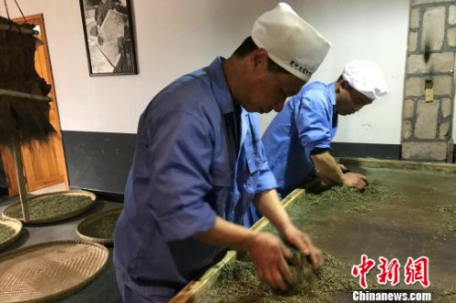 51歲的向書蘭雙手不停地揉捻著茶團 董曉斌 攝 51歲的向書蘭雙手不停地揉捻著茶團 董曉斌 攝