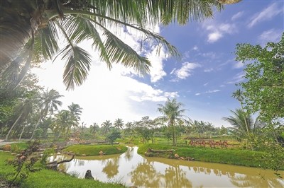 文昌潭牛鎮(zhèn)大廟村。 本報記者 袁琛 攝