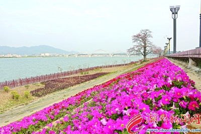 北堤上臨水遠(yuǎn)眺，鳳城春光無限。