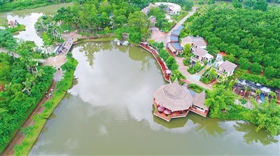 高空鳥瞰興隆咖啡谷。 本報(bào)記者 張茂 攝