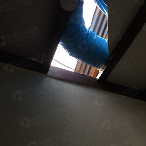 （新西蘭天維網(wǎng) 現(xiàn)場圖片由九九提供）