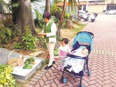 帶著孩子光顧無人菜攤的阿姨。