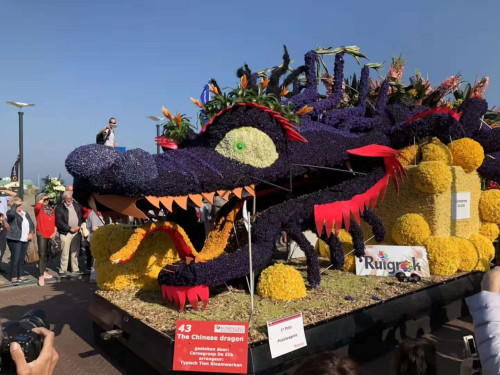 圖片來源：中國駐荷蘭大使館網(wǎng)站