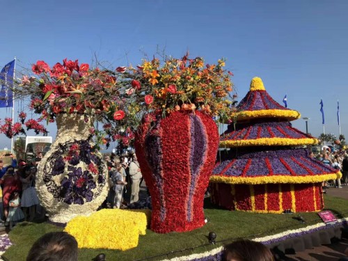 圖片來源：中國駐荷蘭大使館網(wǎng)站