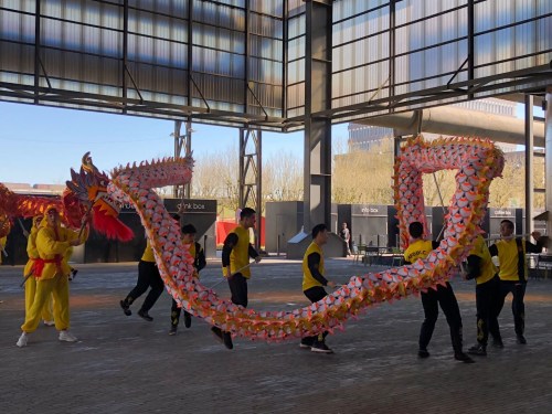現(xiàn)場舞龍表演。（中國駐盧森堡大使館）