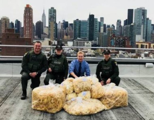 DEC日前沒收金門食品公司112磅的魚翅。(取自DEC官網(wǎng))