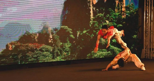 上海市武術(shù)協(xié)會的精彩表演。(圖/歐洲時(shí)報(bào)記者周修怡)