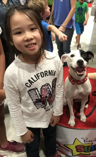 陳楚瑜喜愛(ài)動(dòng)物，一直想養(yǎng)狗。(美國(guó)《世界日?qǐng)?bào)》陳女士提供)