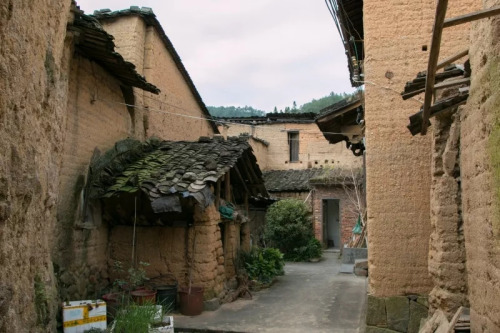 歷經(jīng)長途跋涉，戴祖億終于來到公公的家鄉(xiāng)：前壟村。（馬來西亞《星洲日報》）