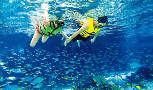 參加浮潛項目務(wù)必接受專業(yè)指導(dǎo)培訓(xùn)，盡量結(jié)伴而行