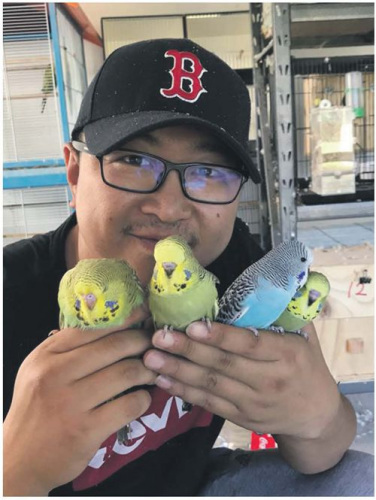 Song在自己的鳥房里。(《新西蘭中文先驅報》)