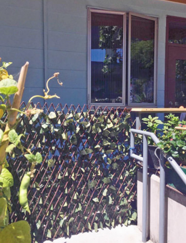 住在一樓的方芳一直都受到游民“騷擾”，如今她已經(jīng)在家門口安裝了一道簡(jiǎn)易小門。（美國(guó)《世界日?qǐng)?bào)》╱李晗 攝）