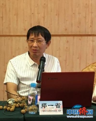 圖為廣西僑鄉(xiāng)文化研究中心主任鄭一省發(fā)言 段曉紅 攝