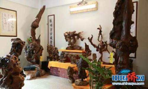 萬(wàn)寧根藝館的根雕作品?！蛆i 攝