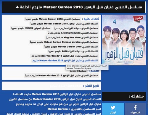 另一個(gè)字幕組lodynet所譯制的《新流星花園》劇集下載頁(yè)面。不同的字幕組在翻譯質(zhì)量、上傳時(shí)間等各方面存在競(jìng)爭(zhēng)。