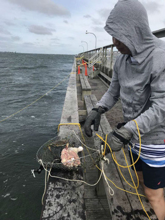 華裔民眾在長(zhǎng)島捕蟹。（美國(guó)《僑報(bào)》/讀者提供）