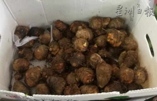 中秋節(jié)應(yīng)節(jié)食品小芋頭銷量慢熱。（馬來西亞《星洲日報》）