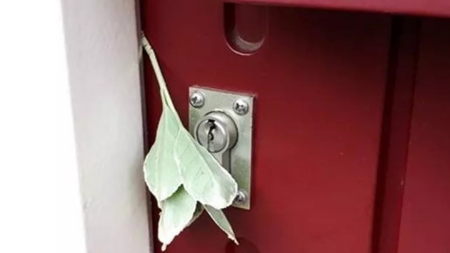 來(lái)源：里德凱爾克警局