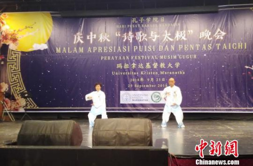 圖為中國“盧氏太極”表演?！＄娦?攝