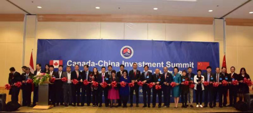 (中國僑商聯(lián)合會(huì)供圖) (中國僑商聯(lián)合會(huì)供圖)