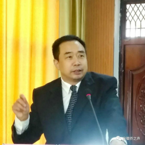 圖為安徽省僑聯黨組成員、副主席兼秘書長楊冰出席并講話 