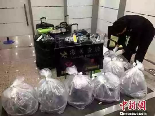 資料圖：海關(guān)查驗(yàn)物品