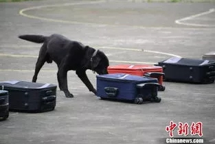 資料圖，圖文無關。