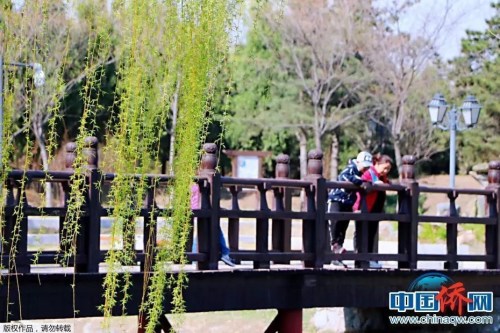 中國僑網(wǎng) 韓輝 攝