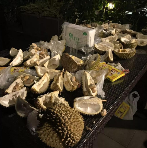 資料圖 圖片來自中國僑網(wǎng)