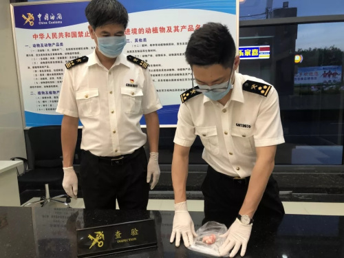 圖片來源：海關發(fā)布微信公眾號