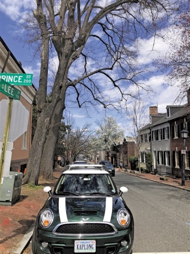 落地簽免費一再延長，使得泰國游熱度在今年居高不下?！堆虺峭韴蟆酚浾?劉星彤/攝