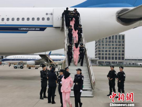 　10月15日，河南公安機(jī)關(guān)將136名電信網(wǎng)絡(luò)詐騙犯罪嫌疑人從老撾押解回國，涉及國內(nèi)多省市區(qū)的1200余起電信網(wǎng)絡(luò)詐騙案件成功告破?！Ⅸi 攝