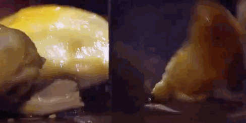 古法鹽焗雞。(視頻截圖)