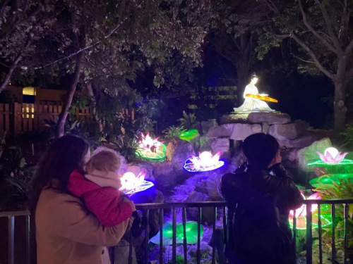 游客在花燈前觀賞留影。(法國《歐洲時報》/黃冠杰 攝)