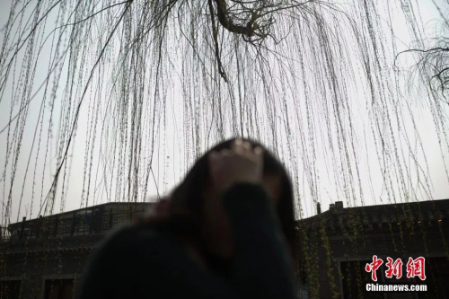 資料圖（圖文無關(guān)）