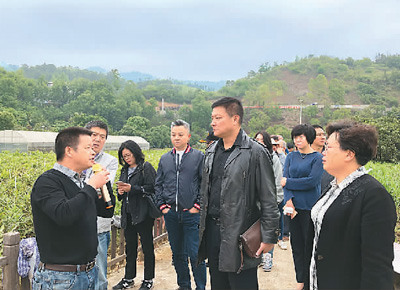 2019年5月，歐美同學(xué)會(huì)組織的海歸扶貧考察團(tuán)前往貴州省黔西南布依族苗族自治州望謨縣，為當(dāng)?shù)孛撠氈赂怀鲋\劃策。圖為工作人員正在向海歸代表介紹望謨縣情況。本報(bào)記者 孫亞慧攝