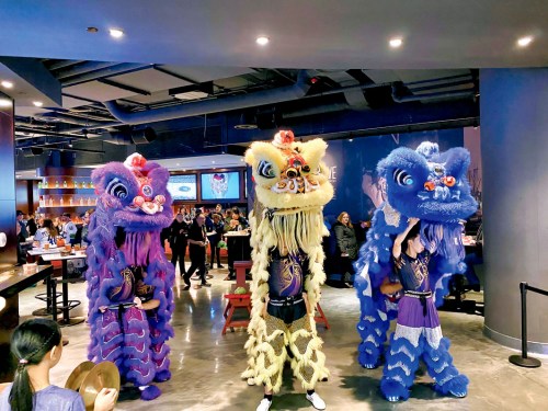 醒獅表演。(加拿大《星島日報》/莊昕 攝)