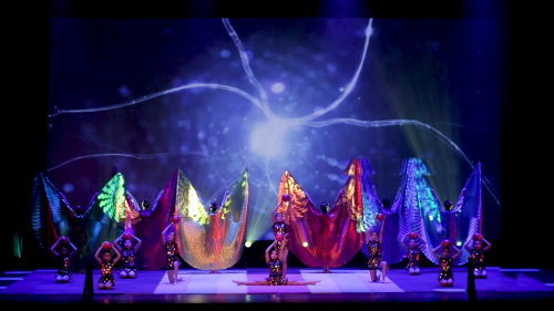 美國新澤西華夏普蘭斯堡中文學(xué)?！痘瘌P凰》