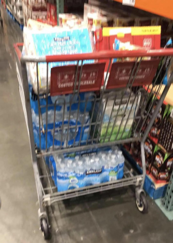 采購(gòu)得滿滿當(dāng)當(dāng)?shù)馁?gòu)物車。(圖片來源：作者提供)
