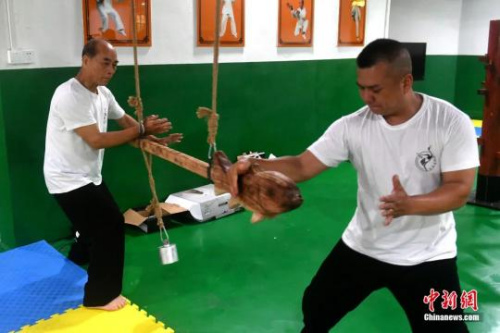 余丹秋為徒弟們傳授動作要領(lǐng)。呂明攝