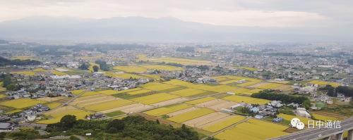 電影畫(huà)面。(日中通信)