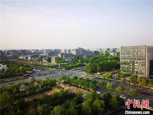 出梅后浙江各地迎來高溫。張煜歡 攝