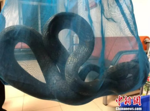 資料圖。來源：<a target='_blank'  >中新網(wǎng)</a>